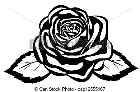450x296 abstract black and white rose close up isolated on white background - Black And White Rose Drawing