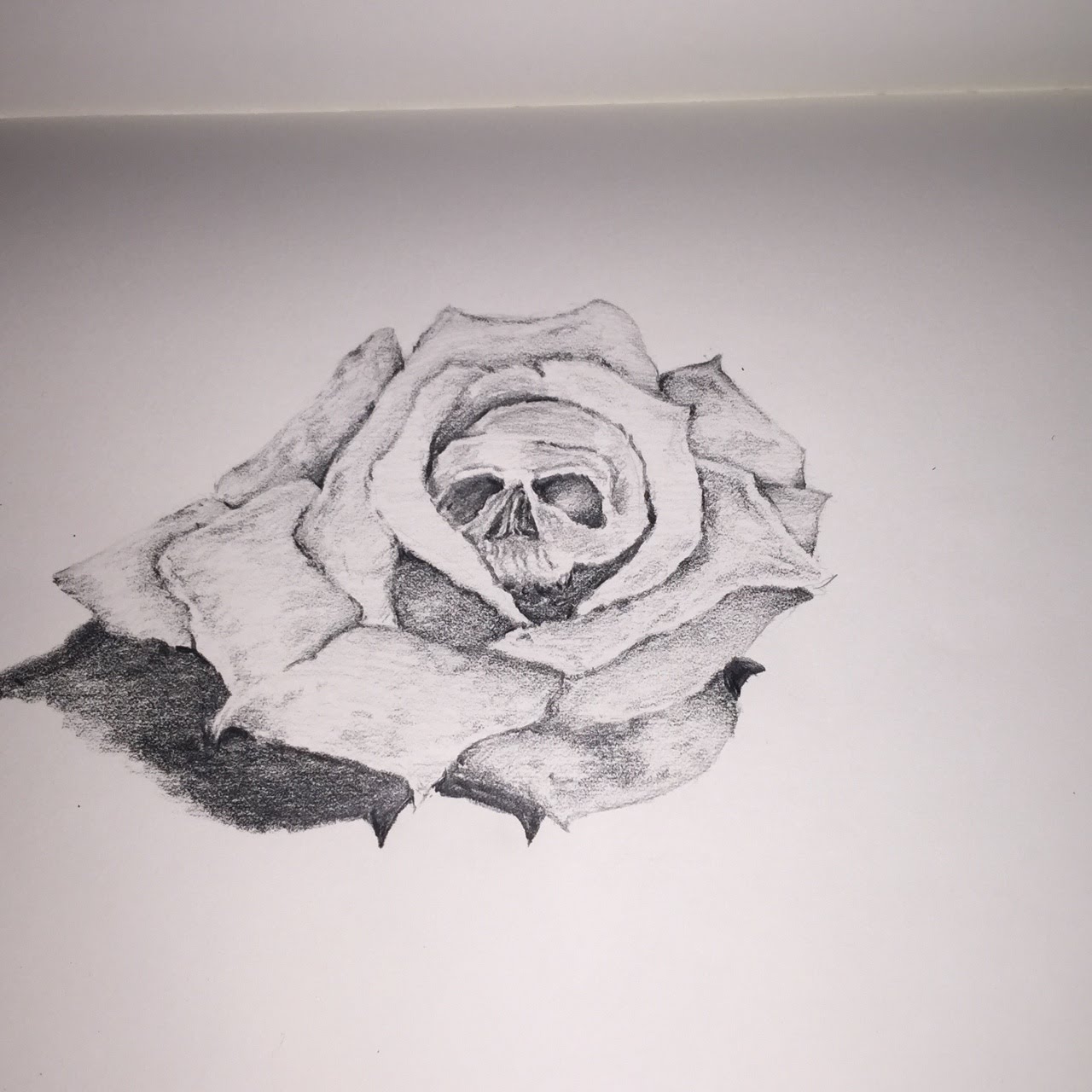1280x1280 Black And White Rose Drawings Desktop Backgrounds - Black And White Rose Drawing