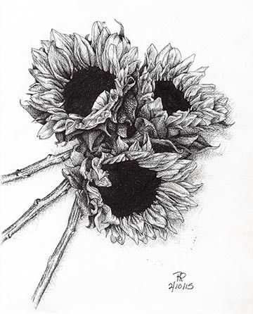 360x446 Drawing Art Tulip Tattoo, Drawings, Sunflower Drawing - Black And White Sunflower Drawing