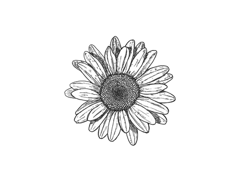 Free Free 344 Sunflower Clipart Black And White Png SVG PNG EPS DXF File
