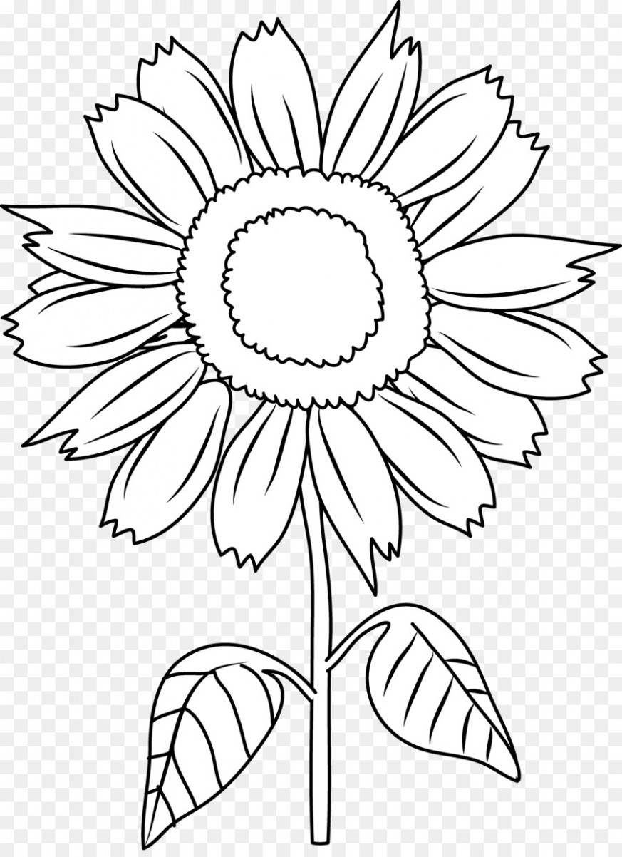 873x1202 sunflower black and white drawing black and white sunflower - Black And White Sunflower Drawing