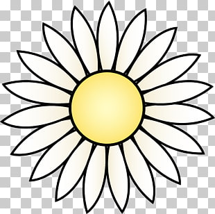 310x308 Black And White Sunflowers Png Cliparts For Free Download Uihere - Black And White Sunflower Drawing