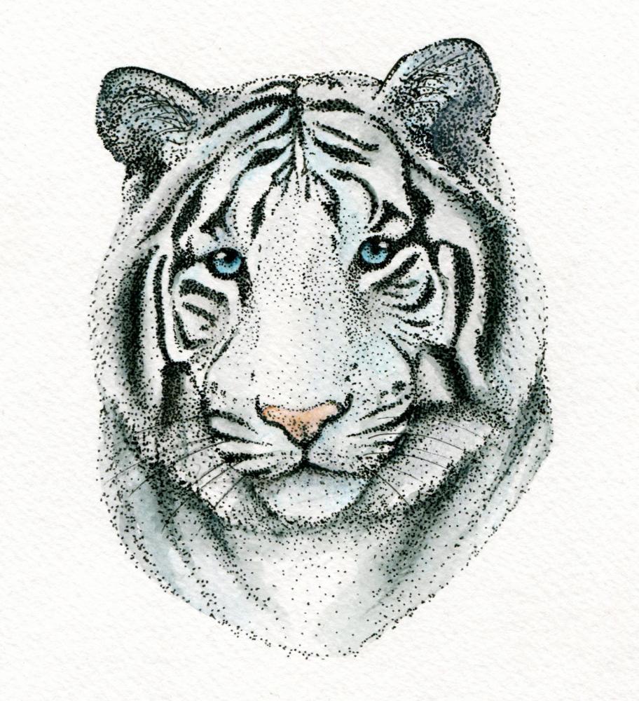 912x1000 white tiger colored drawing made of dots - Black And White Tiger Drawing