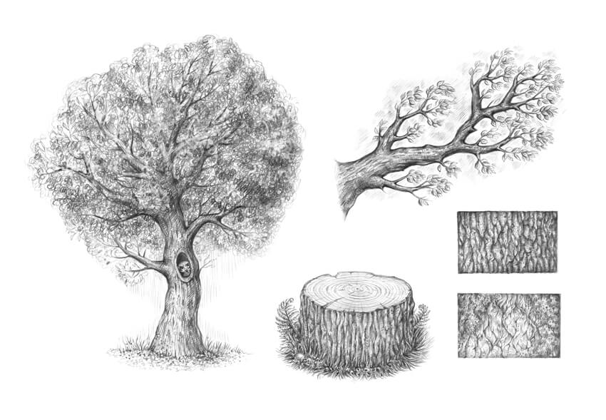850x589 How To Draw A Tree - Black And White Tree Drawing