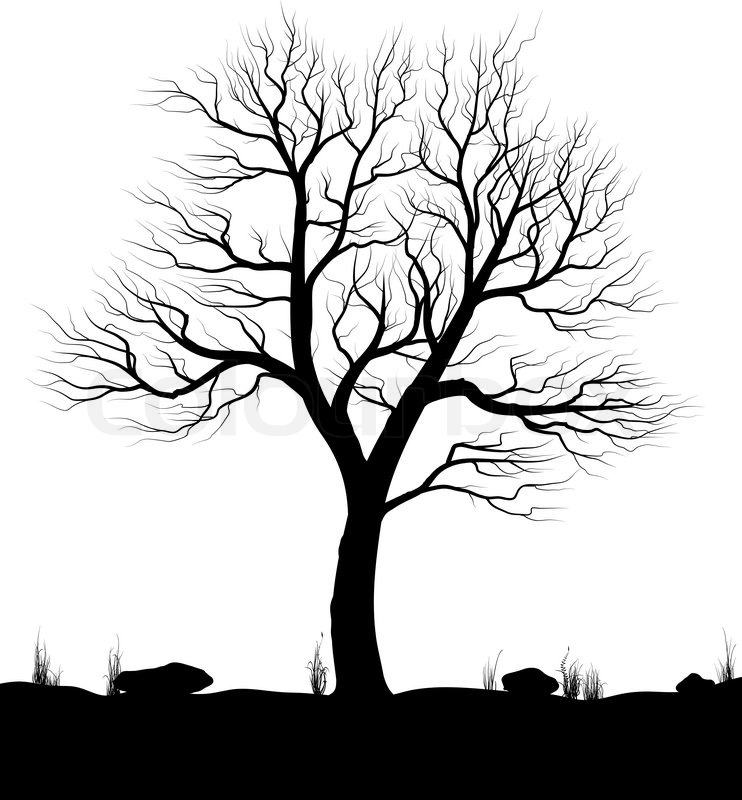 742x800 Landscape With Old Tree And Grass Over Stock Vector Colourbox - Black And White Tree Drawing