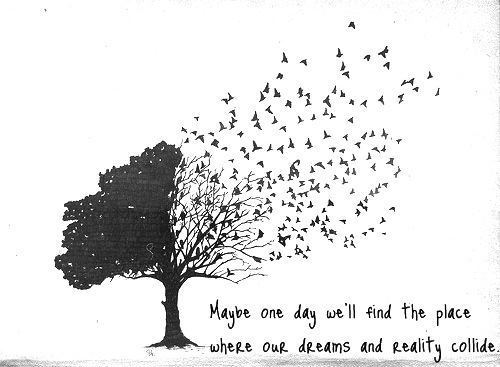 500x367 Drawing Tree Quote Black And White Repost Pen Branches - Black And White Tree Drawing