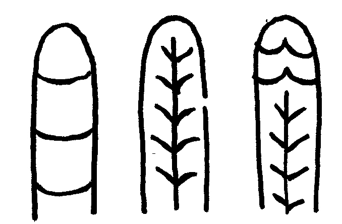 678x444 How To Draw A Turkey - Black And White Turkey Drawing