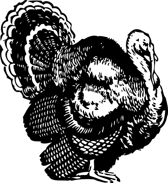 546x596 Turkey - Black And White Turkey Drawing