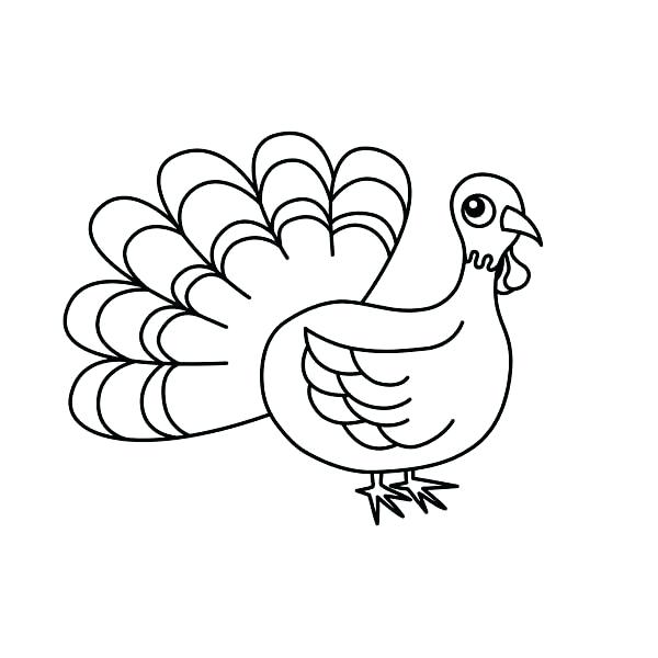 600x600 cartoon pictures of turkeys to color cartoon turkey coloring pages - Black And White Turkey Drawing