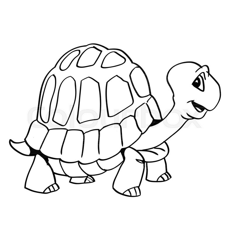 800x800 Hand Drawing Of A Smiley Turtle Stock Vector Colourbox - Black And White Turtle Drawings