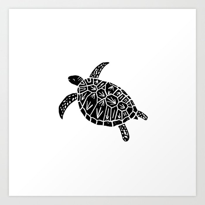 Black And White Turtle Drawings at PaintingValley.com | Explore ...