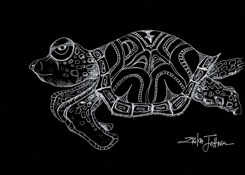 Black And White Turtle Drawings at PaintingValley.com | Explore ...