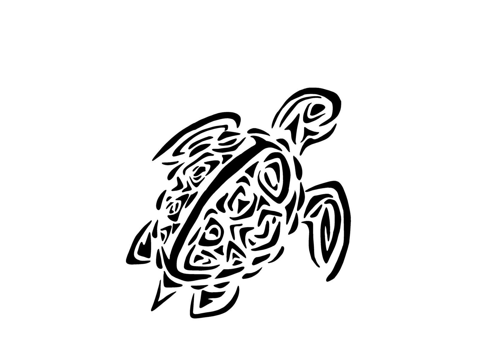 1600x1200 Nice Black Tribal Turtle Tattoo Design - Black And White Turtle Drawings
