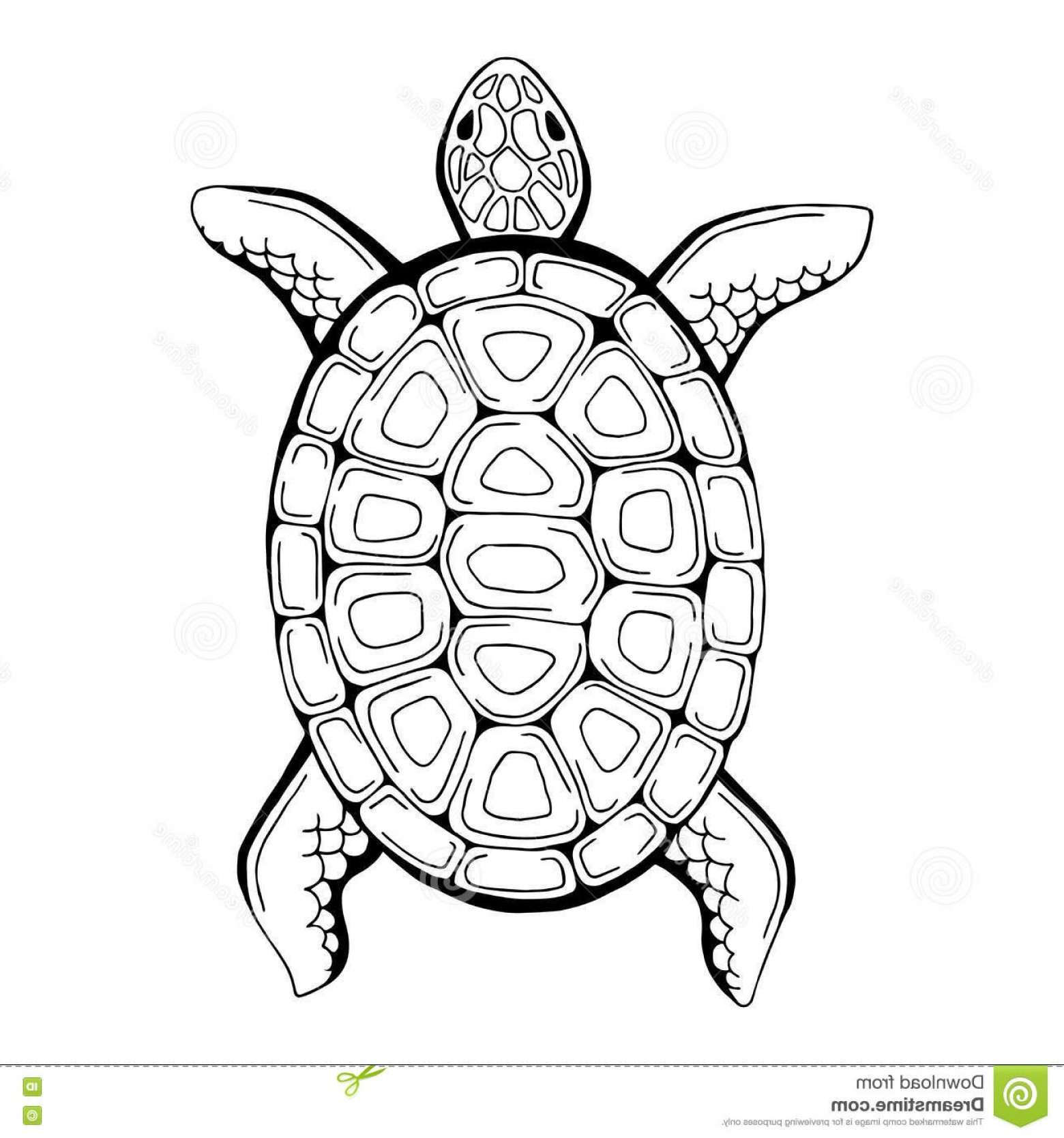 1560x1668 Running Turtle Vector Black And White Soidergi - Black And White Turtle Drawings