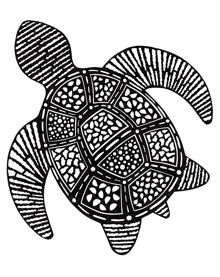 715x900 Sea Turtle Shapes Drawing - Black And White Turtle Drawings