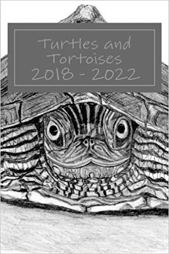 333x499 Turtles And Tortoises - Black And White Turtle Drawings