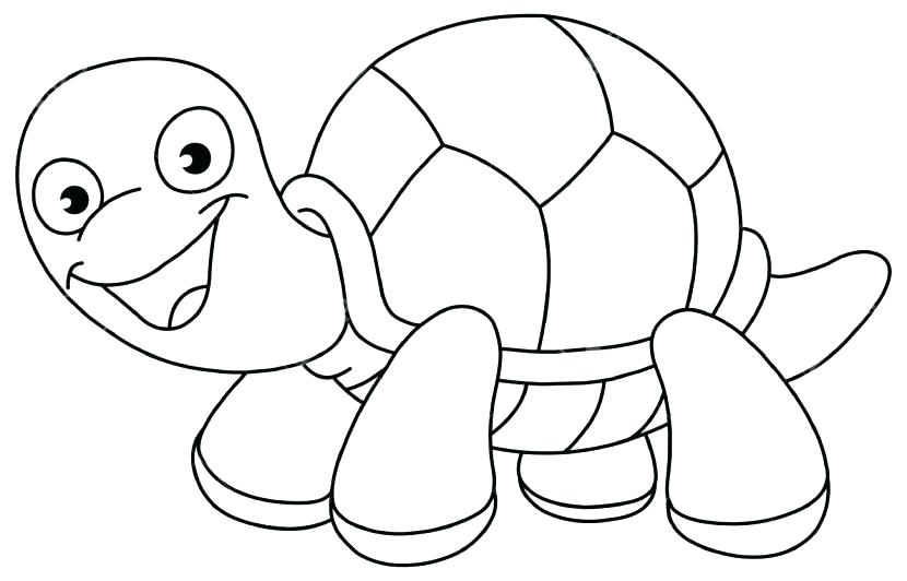 Black And White Turtle Drawings at PaintingValley.com | Explore ...