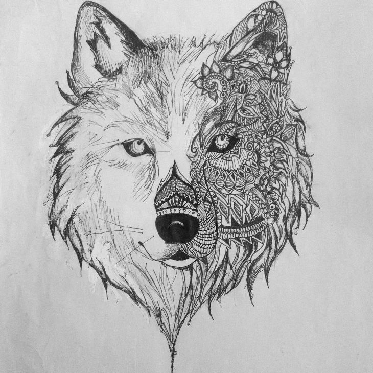 730x730 Amazing Collection Of Wolf Drawingdrawings Design Trends - Black And White Wolf Drawing