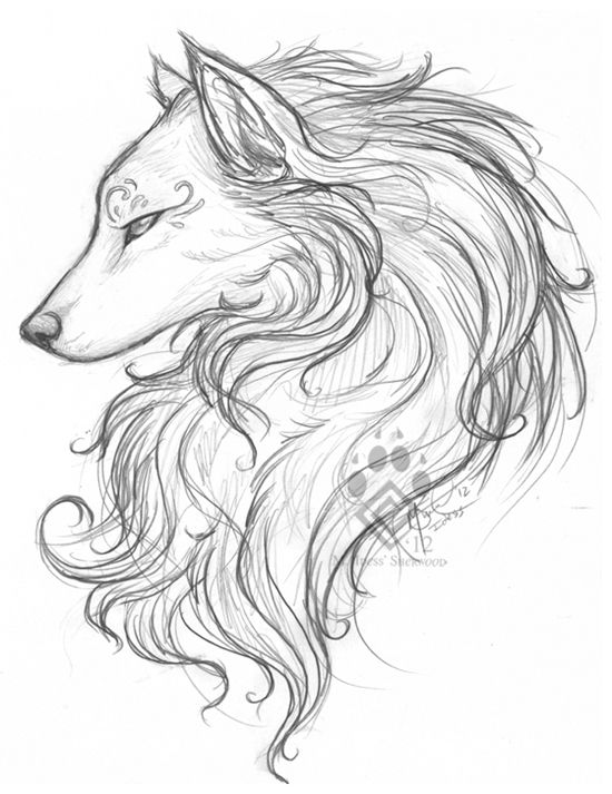550x713 White Wolf Sketch - Black And White Wolf Drawing