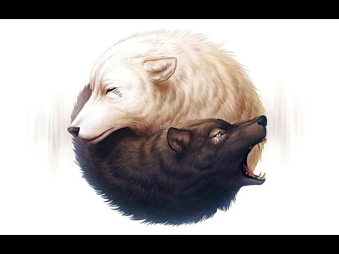 480x360 Yin And Yang - Black And White Wolf Drawing