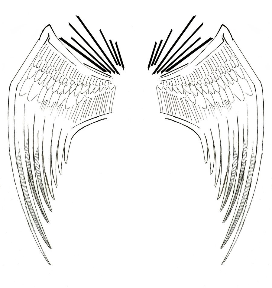 900x953 Black Angel Wings Drawing - Black Angel Wings Drawing