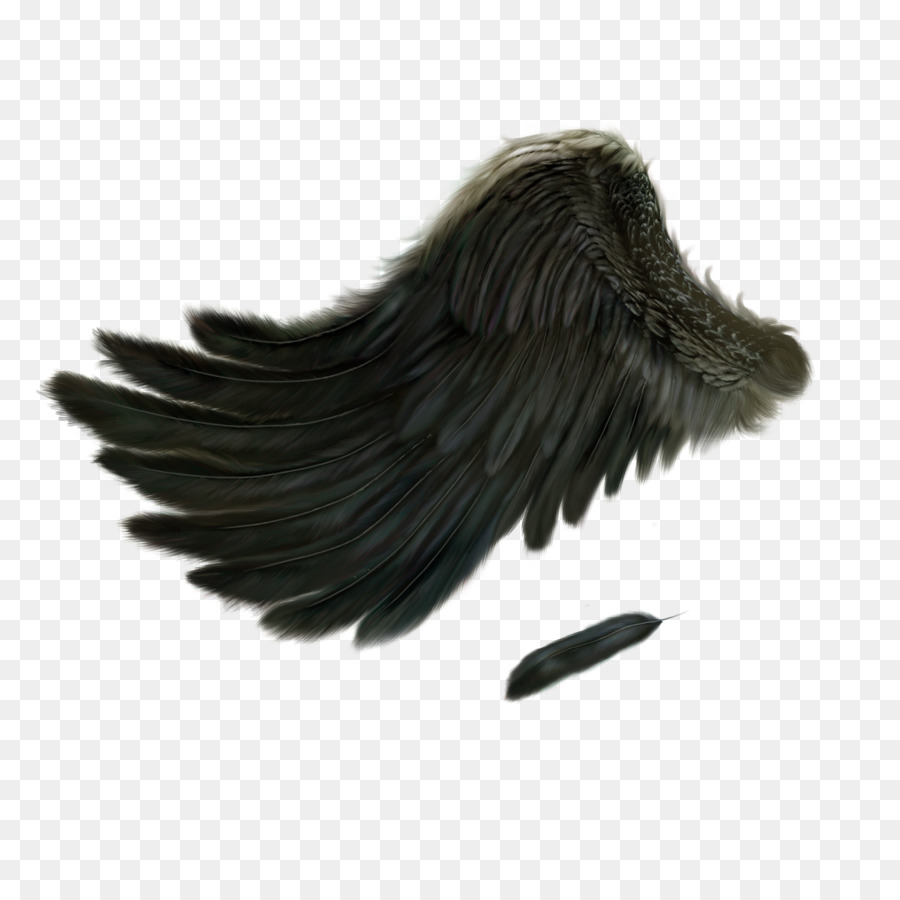 900x900 Black Angel Wings Png Images In Collection - Black Angel Wings Drawing