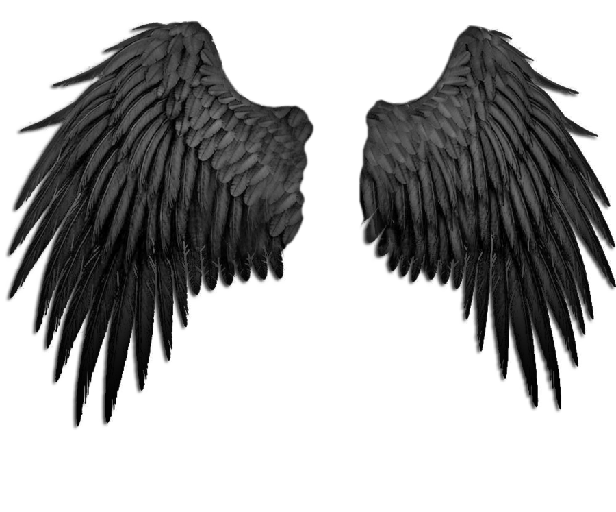 900x747 Collection Of Free Wings Transparent Dark Download On Ui Ex - Black Angel Wings Drawing