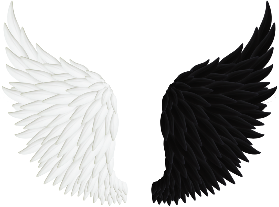 900x667 Drawing Detail Angel Wing Transparent Png Clipart Free Download - Black Angel Wings Drawing