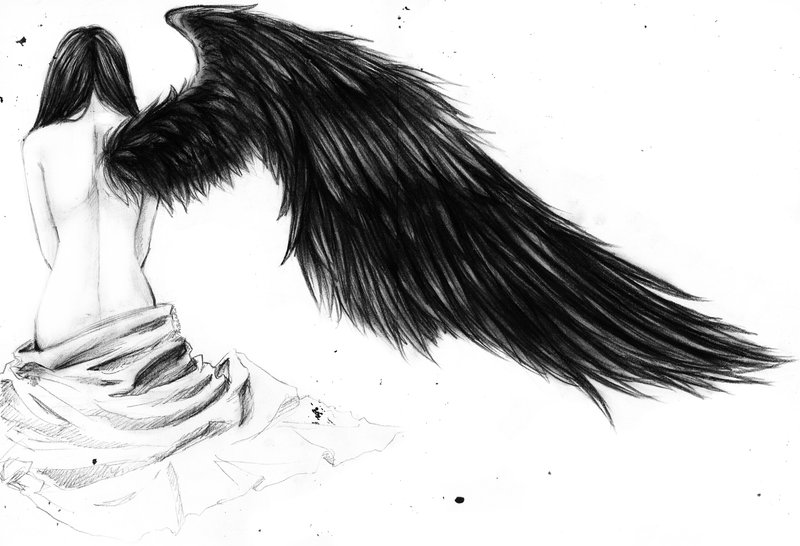 800x546 i dreamt i was growing black wings - Black Angel Wings Drawing