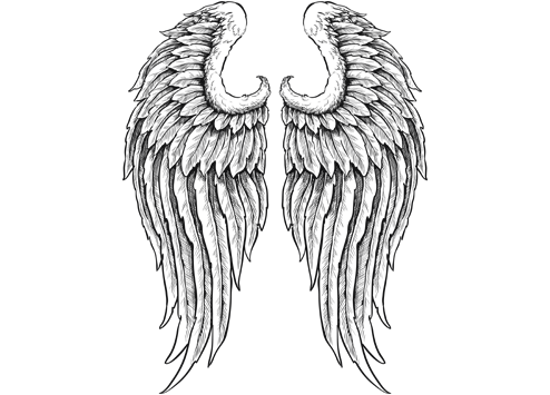 494x355 Angels Drawing Sad Huge Freebie! Download For Powerpoint - Black Angel Wings Drawing
