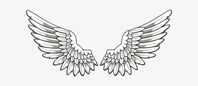 Wings Drawings Hoyuk Westernscandinavia Org