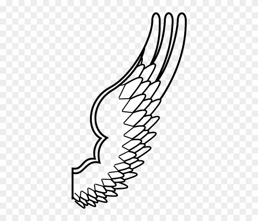 840x720 spread, drawing, design, angel, wing, feathers - Black Angel Wings Drawing