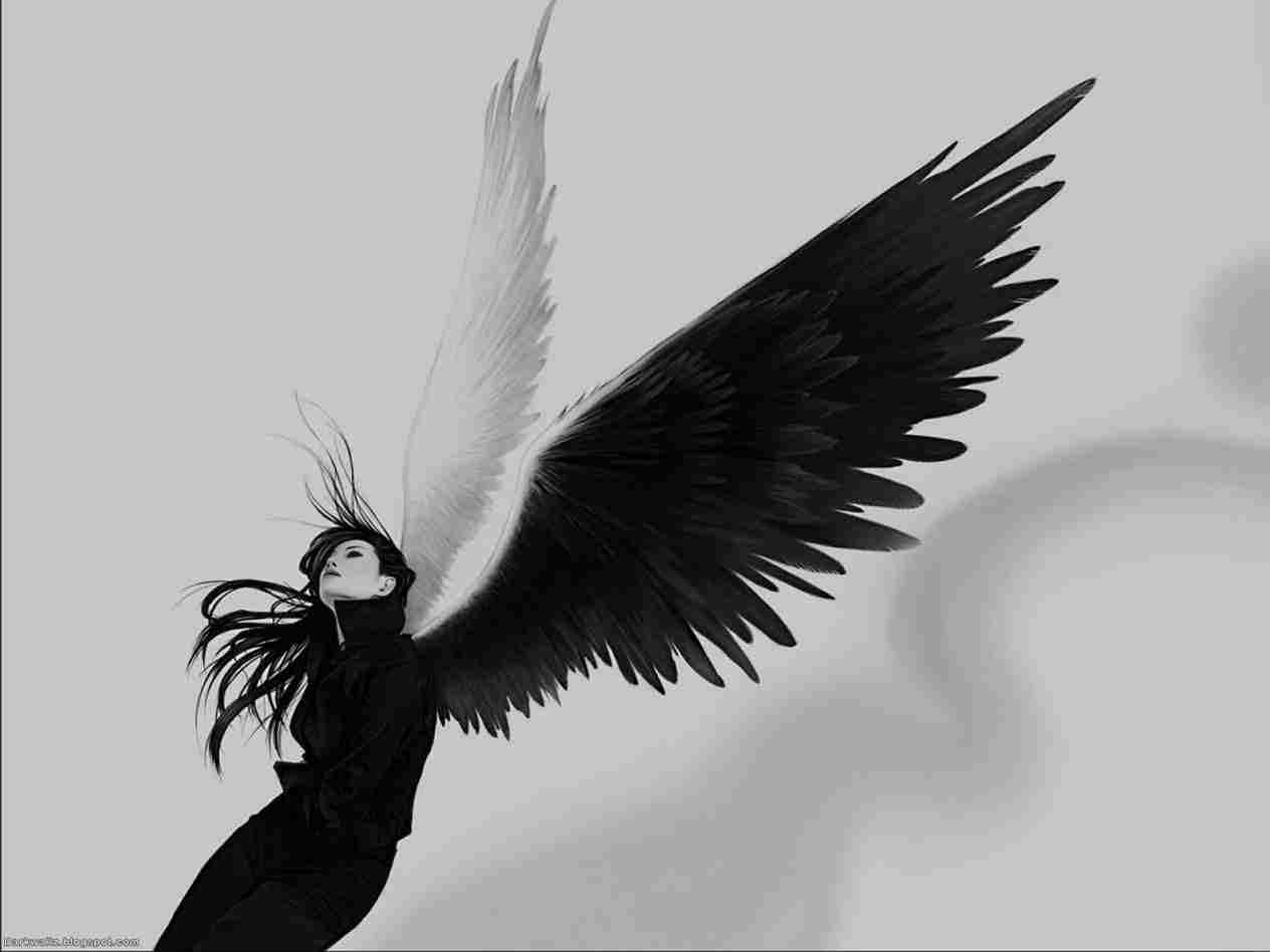 1264x948 Black Angel Wings Drawing - Black Angel Wings Drawing