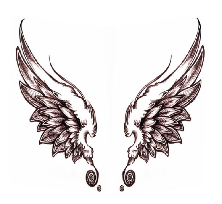736x677 Drawings Of Angel Wings - Black Angel Wings Drawing