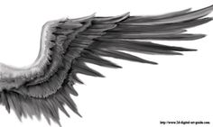 236x141 best dark angel wings images in angels, demons, black - Black Angel Wings Drawing