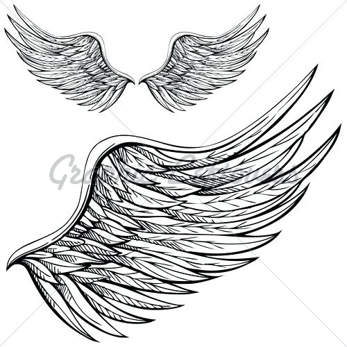 500x500 Angel Wings Drawing Step - Black Angel Wings Drawing