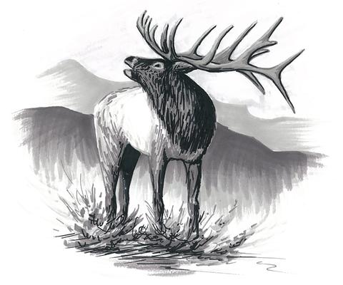 480x400 Prismacolor Markers - Black Art Drawings