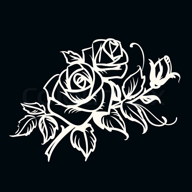 800x800 Roses White Outline Drawing On Black Stock Vector Colourbox - Black Background Drawing