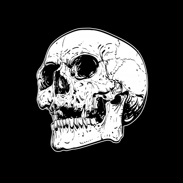 626x626 skull on black background vector free download - Black Background Drawing