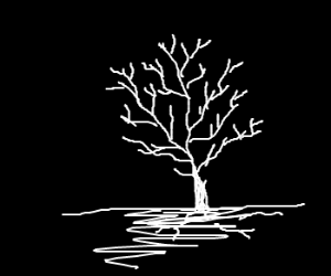 300x250 white tree on black background drawing - Black Background Drawing