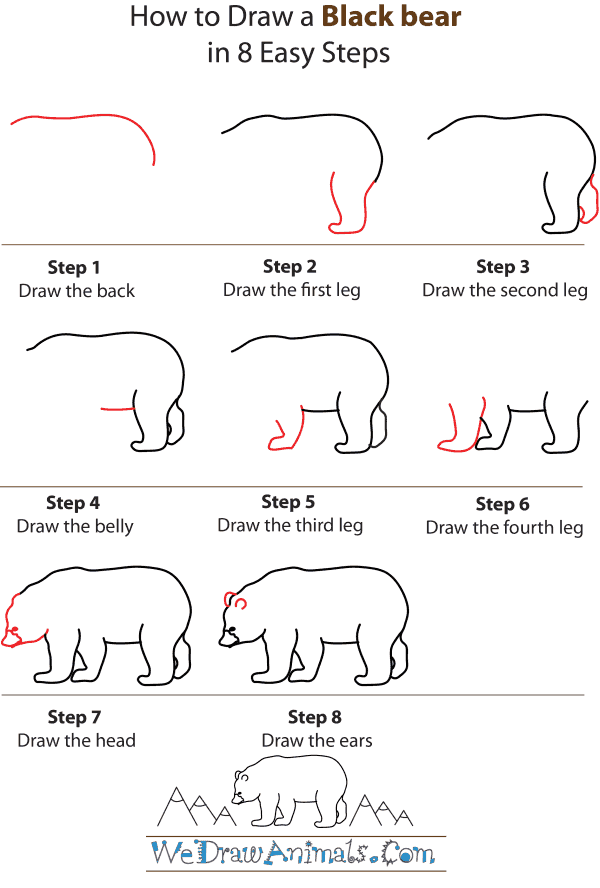 600x888 How To Draw A Black Bear - Black Bear Drawing