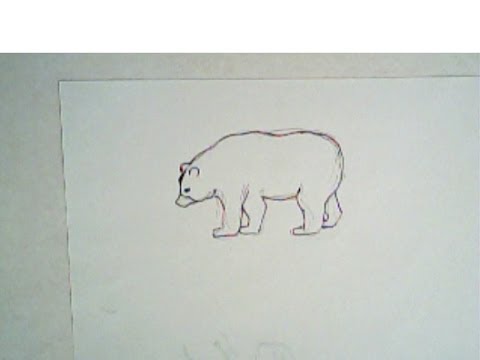 480x360 How To Draw A Black Bear - Black Bear Drawing