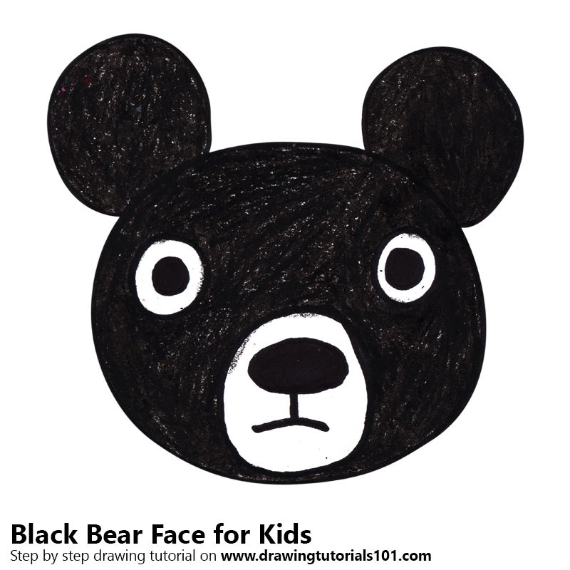800x800 Learn How To Draw A Black Bear Face For Kids - Black Bear Drawing