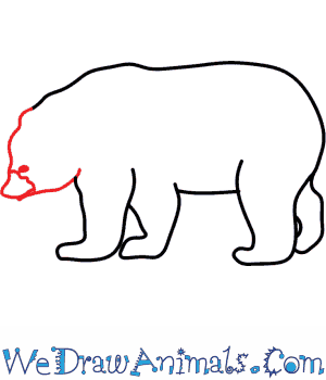 300x350 How To Draw A Black Bear - Black Bear Drawing Outline
