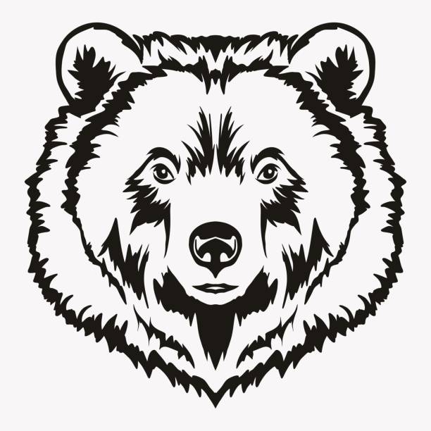 Bear Outline SVG