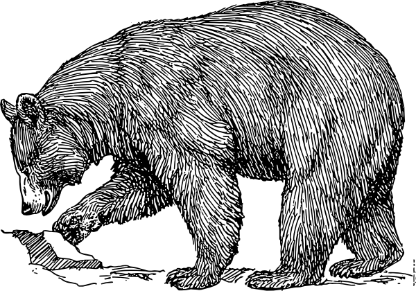 600x420 Black Bear Clip Art - Black Bear Drawing Outline