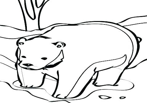 476x333 Black Bear Drawing Outline Elegant Of Coloring Pages Bears - Black Bear Drawing Outline