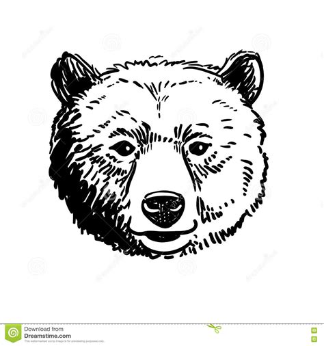 474x506 Black Bear Face Drawing - Black Bear Face Drawing