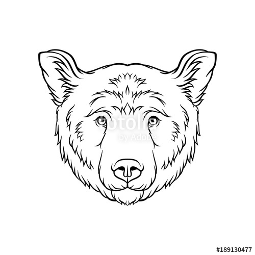 500x500 Black And White Sketch Of Bears Head, Face Of Wild Animal Hand - Black Bear Face Drawing