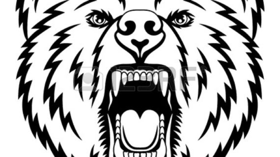 570x320 how to draw a grizzly bear with pictures wikihow how to draw - Black Bear Face Drawing